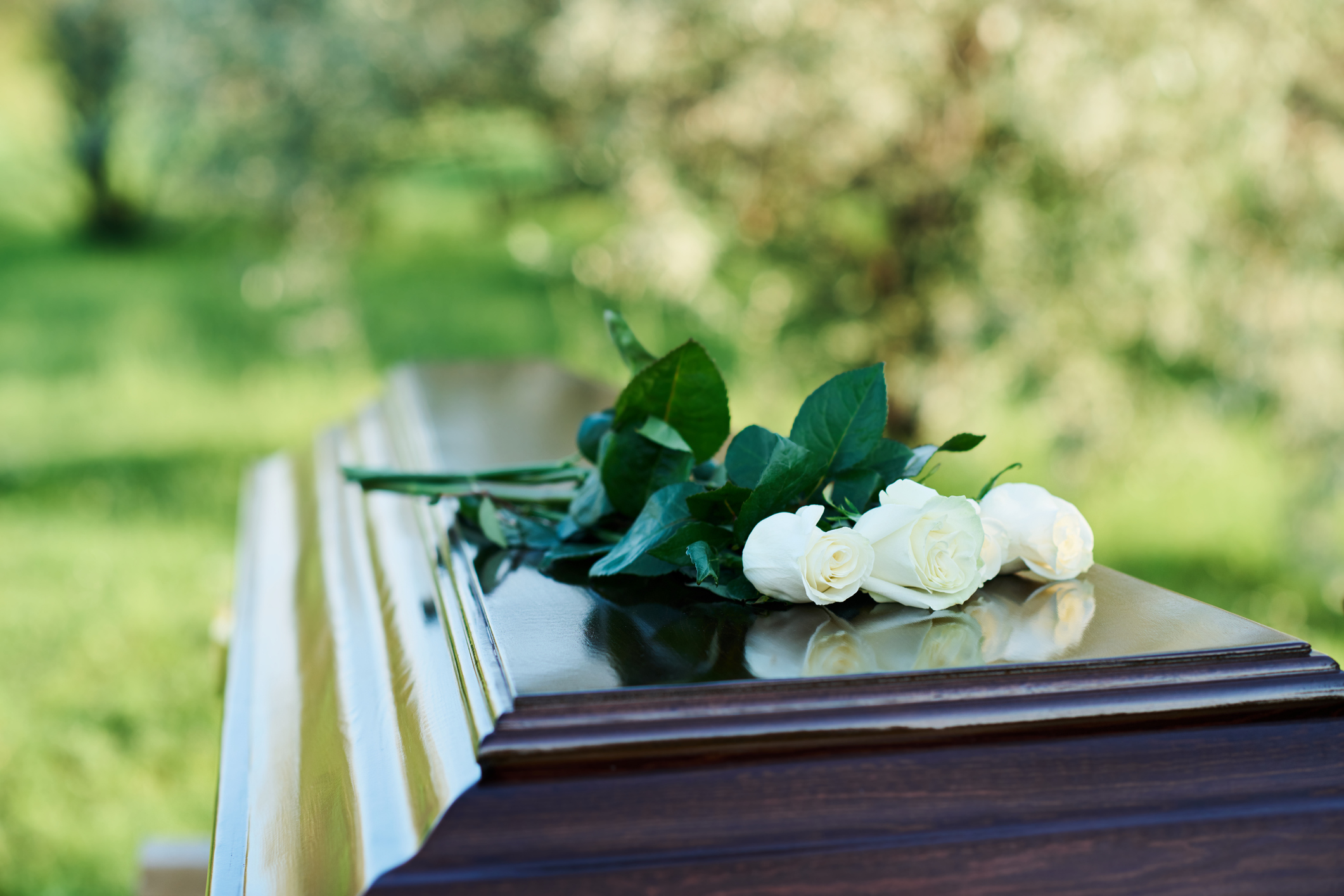 Wooden casket topped with white roses in a natural setting.