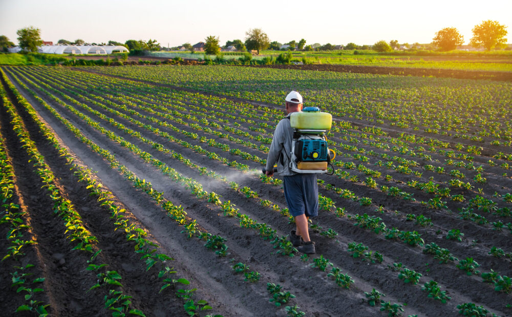 A farmworker sprays a field of crops from a wearable sprayer.